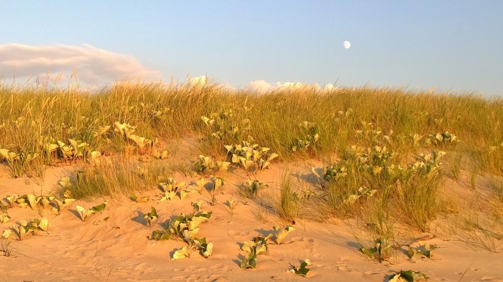 Ostsee Dierhagen-strand Апартаменты *